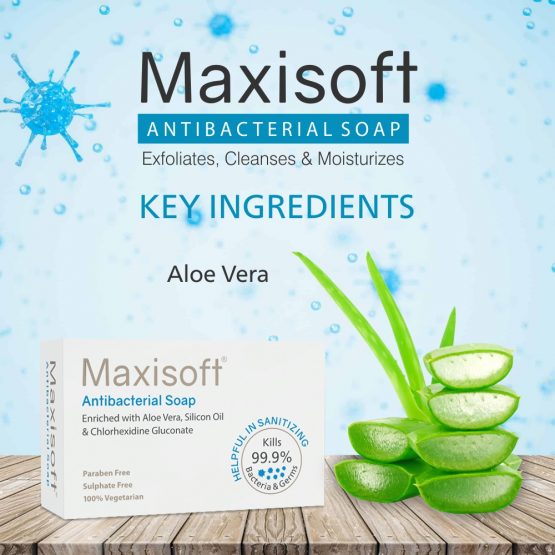 Maxisoft Antibacterial Sanitizing Soap 04