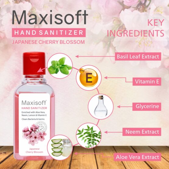 Maxisoft Hand Sanitizer Japanese Cherry Blossom 60 ml New Bottle-5