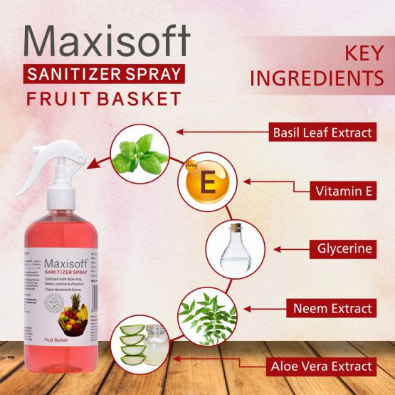 Maxisoft Hand Sanitizer Spary Fruit Basket 500 ml 04