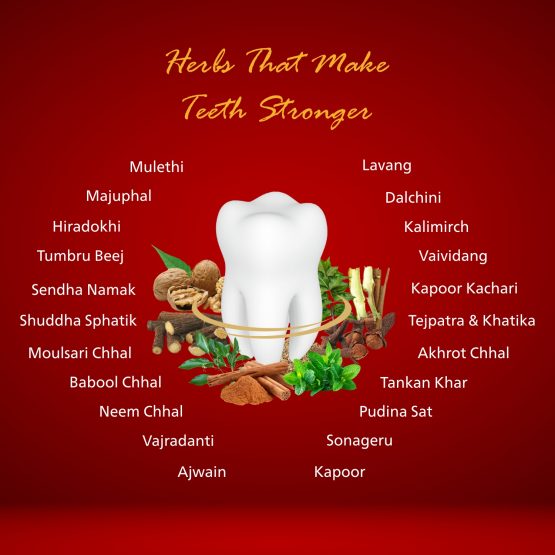 Dentopride Herbal Tooth Powder Listing 04